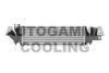 AUTOGAMMA 103708 Intercooler, charger